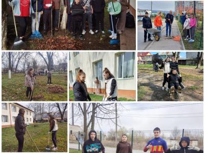 Collage 20250326 213224