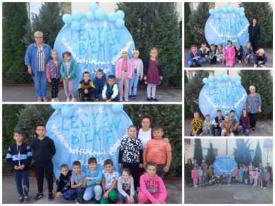 Collage 20240923 161304