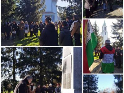 photo 2024-11-22 17-08-40